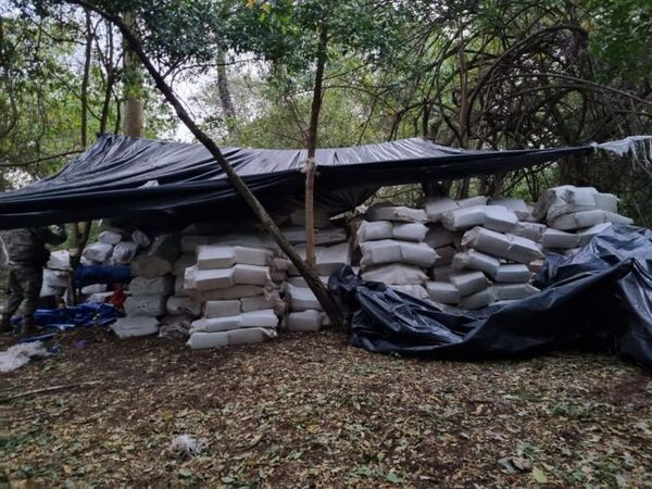 SENAD incautó casi 22 toneladas de Marihuana en Amambay