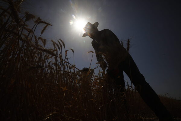 África y América impulsarán cooperación en temas agroalimentarios en cumbre - MarketData