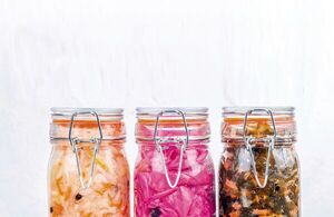 Nuestra aliada, la microbiota - ABC Revista - ABC Color