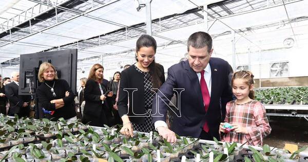 La Nación / Floricultura del Paraguay, el invernadero más grande de flores del país ya es una realidad