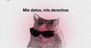La Nación / TEDIC lanza campaña para solicitar aprobación de la Ley de Protección de Datos Personales en el Congreso
