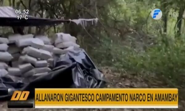 SENAD allana gigantesco campamento narco en Amambay | Telefuturo