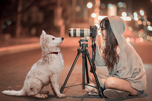 Dejó su trabajo para dedicarse a retocar fotos de perros y ganó US$ 100 mil en seis meses