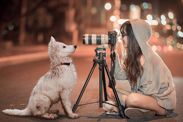 Dejó su trabajo para dedicarse a retocar fotos de perros y ganó US$ 100 mil en seis meses