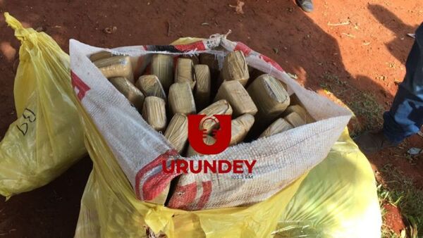 Antinarcóticos allanan vivienda con 225 kilos de marihuana para ser enviados al Brasil