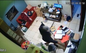 Entró a robar en una panadería y fue reconocido por propietaria