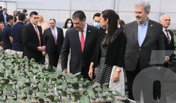 Crónica / Inauguraron invernadero de flores más grande del país