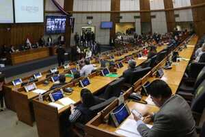 Con 43 votos a favor, Diputados aprueban interpelación al titular del IPS