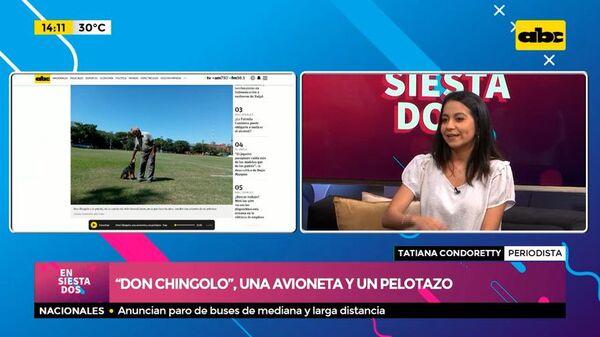 “Don Chingolo”, una avioneta y un pelotazo - Ensiestados - ABC Color