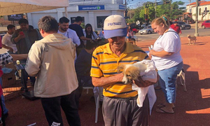 Jornada de sanitación de mascotas en Coronel Oviedo - OviedoPress