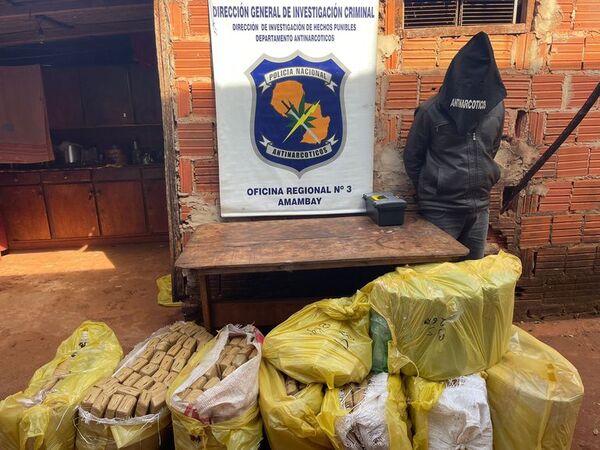 Hombre cae con 225 kilos de marihuana prensada en Pedro Juan Caballero - Policiales - ABC Color