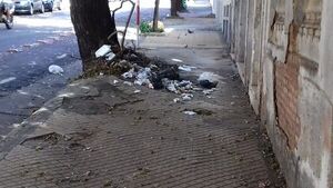 Basural de cada día - Crónicas Ciudadanas - ABC Color