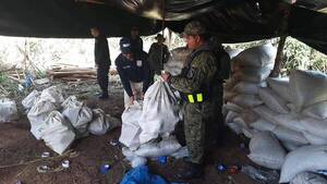 Crónica / Canindeyú: Más de 3.000 kilos de marihuana incautan de un campamento