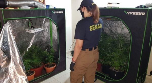 Marihuana VIP: Elevan a juicio oral causa para seis de los acusados