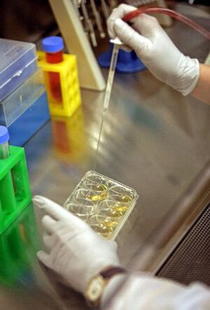 Descubren el “punto débil” que vuelve resistentes a muchos tumores - Ciencia - ABC Color