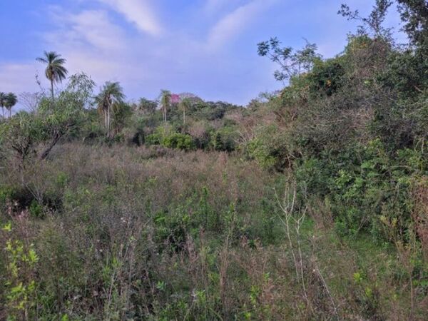 Asaltaron una vivienda y se llevaron a un chico de 14 años, quien sigue con paradero desconocido