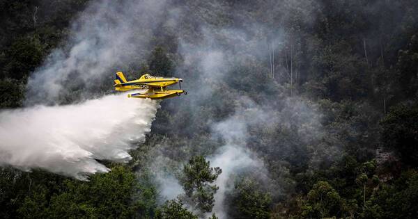 La Nación / Incendios forestales: superficie quemada en la UE superó a la de 2021