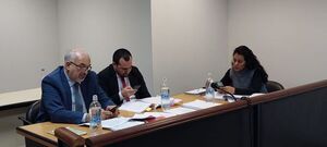 Condenan a abogado que atropelló y mató alcoholizado, pero no irá a la cárcel - Policiales - ABC Color