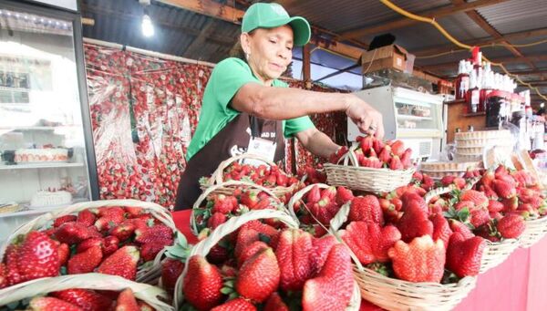 Productores de frutilla esperan a sus clientes en la Plaza Libertad de Caaguazú