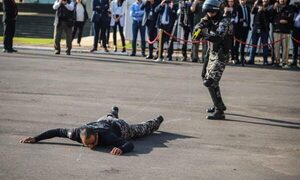 Ka´uchos avei recibirán descargas de pistolas eléctricas de Lince
