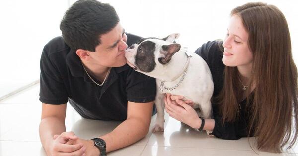 Día Mundial del Perro: valorar y cuidar al mejor amigo
