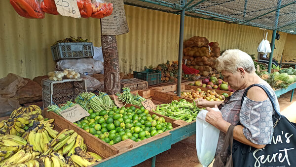 Cuba creció un 1,3 % en 2021, según cifras oficiales - MarketData