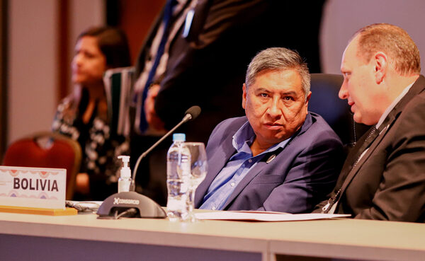 Bolivia destaca en Mercosur los proyectos para proveer fertilizantes a la región - MarketData