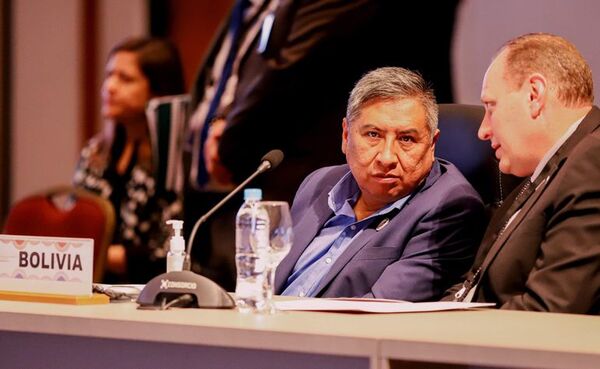 Bolivia destaca en Mercosur proyectos para proveer fertilizantes a la región - Mundo - ABC Color
