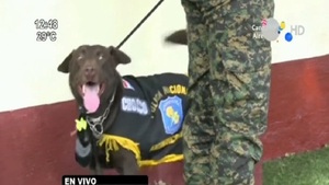 «Chocco» Droga que huele es incautada | Noticias Paraguay