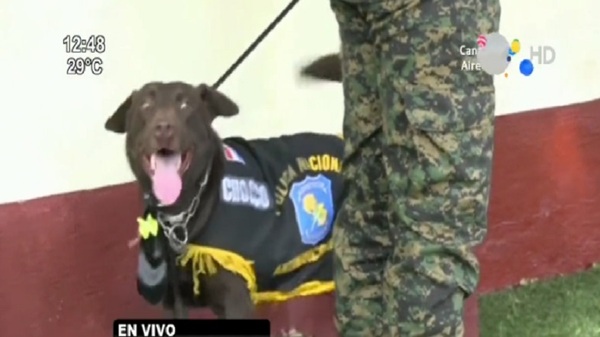«Chocco» Droga que huele es incautada | Noticias Paraguay