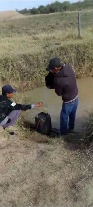 Crítica situación de comunidades afectadas por la sequía en el Chaco - Noticias del Chaco - ABC Color