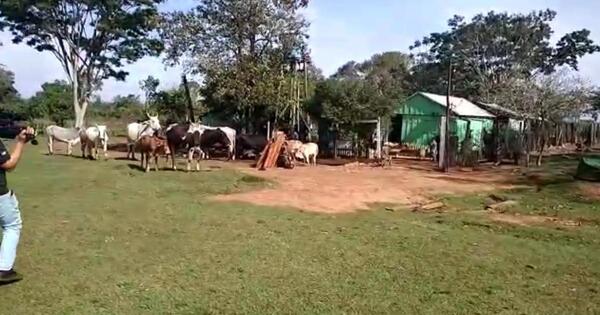 Itapúa: grupo criminal ataca a familias humildes y trabajadoras