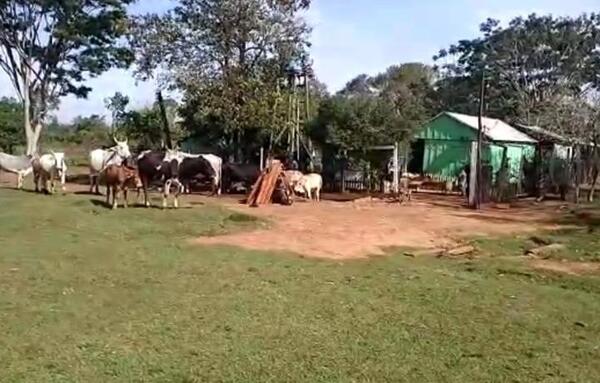 Grupo criminal "UPP" causa terror en Itapúa: ataca a familias humildes