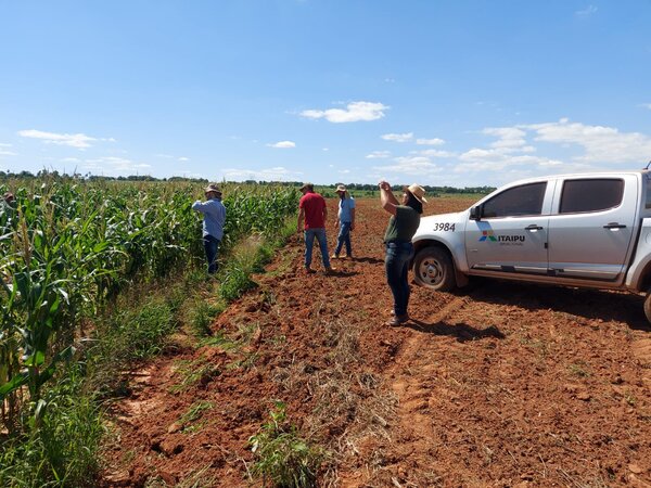 En siete años Itaipú desarrolló 12 proyectos de agricultura en el país