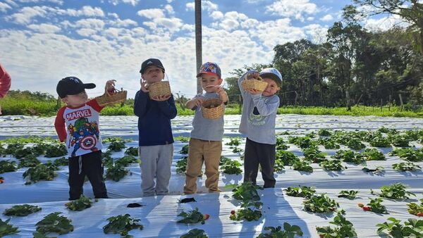 En últimos días de vacaciones, Areguá te espera para cosechar frutillas - Viajes - ABC Color