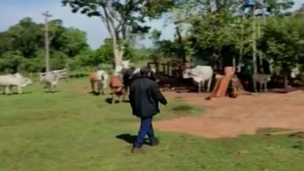 Sin rastros de adolescente llevado a la fuerza por criminales en Itapúa