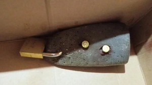 Recibió de “regalo” un pedazo de lengua con balas y candado incrustado | 1000 Noticias