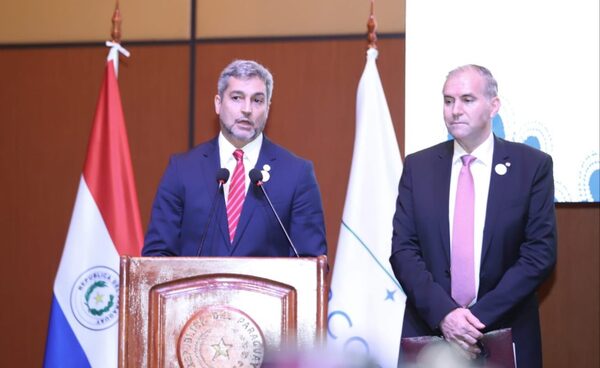 Presidente celebra logros significativos del último semestre en el Mercosur - El Trueno