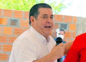 “Cartes es la cabeza de un cartel” de crimen organizado, afirma Celeste Amarilla - Política - ABC Color