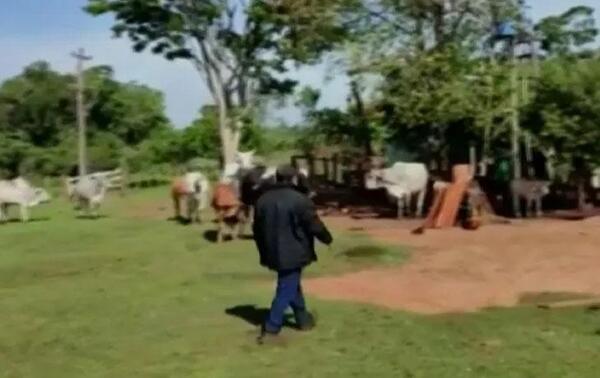 Sin rastros de adolescente llevado a la fuerza por criminales en Itapúa – Prensa 5