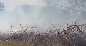 Bomberos combaten un incendio en un pastizal de la Facultad de Veterinaria - Nacionales - ABC Color