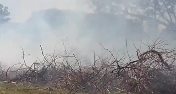 Bomberos combaten un incendio en un pastizal de la Facultad de Veterinaria - Nacionales - ABC Color