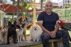 César Millán, el “encantador de perros”, quiere reeducar al perro moderno y devolverle su parte natural - Mascotas - ABC Color