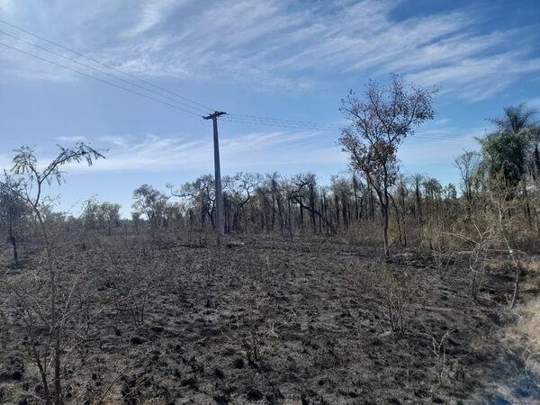 Incendio consumió unas 30 hectáreas del Parque Nacional Paso Bravo - Nacionales - ABC Color