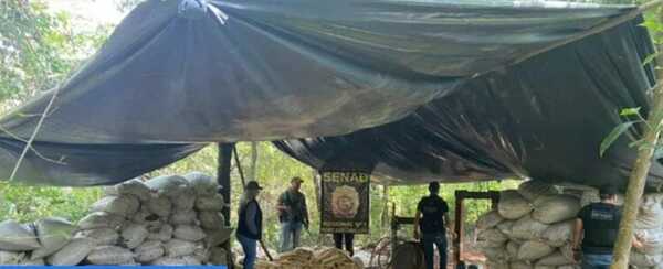 Marihuanero murió tras enfrentamiento con policías en Amambay