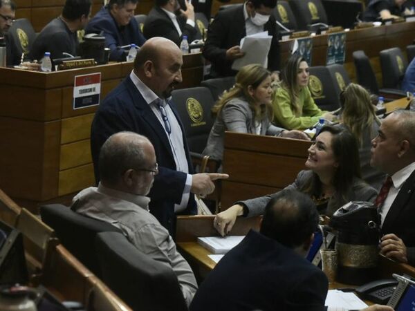 Once votos claves: dos bancadas liberales definen juicio político a Sandra Quiñónez - Nacionales - ABC Color