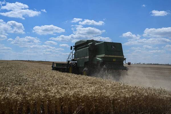 Crónica / Rusia permitirá a Ucrania exportar cereales a todo el mundo