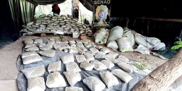 Diario HOY | Destruyen 12 narco-campamentos en los montes de Yby Yaú