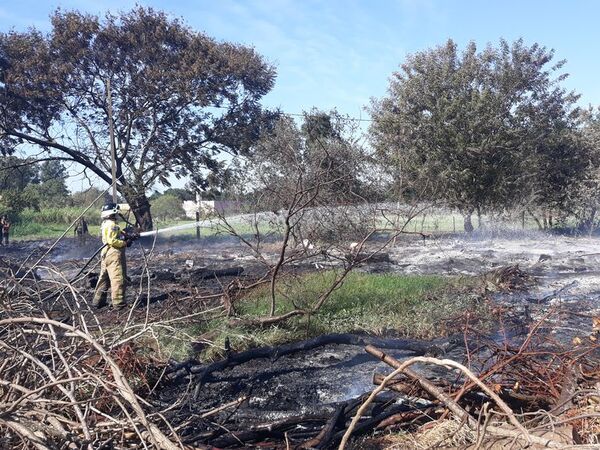 Sofocan fuego originado en un pastizal del campus de la UNA - Nacionales - ABC Color