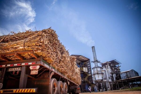 Planta alcoholera de Petropar registra más de 71.000 toneladas de caña de azúcar molidas